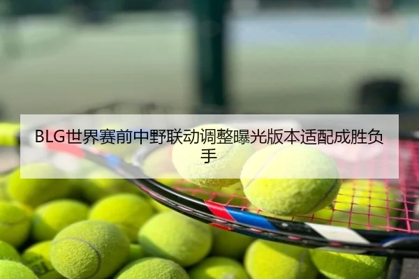 BLG世界赛前中野联动调整曝光版本适配成胜负手