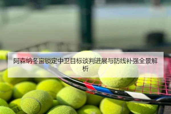 阿森纳冬窗锁定中卫目标谈判进展与防线补强全景解析